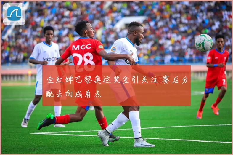 全红婵巴黎奥运奖金引关注 赛后分配去向成看点