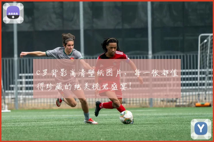 c罗背影高清壁纸图片,每一张都值得珍藏的绝美视觉盛宴!