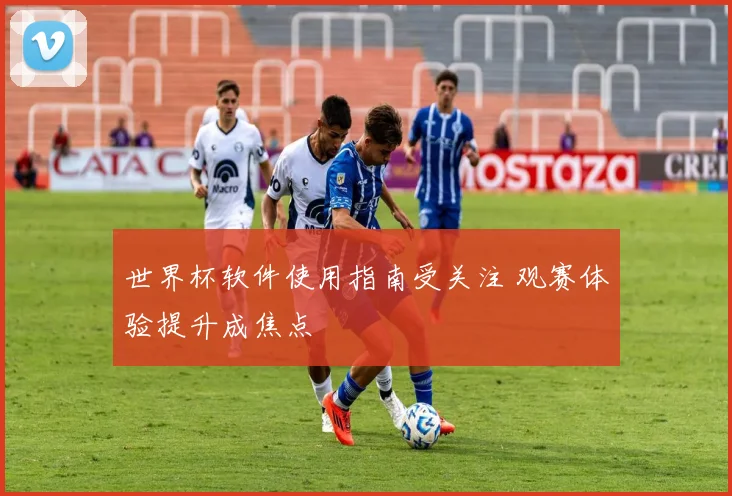 世界杯软件使用指南受关注 观赛体验提升成焦点