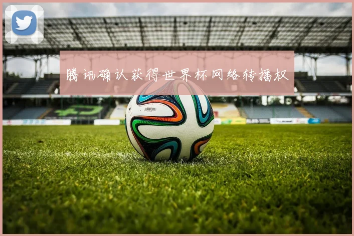 腾讯确认获得世界杯网络转播权