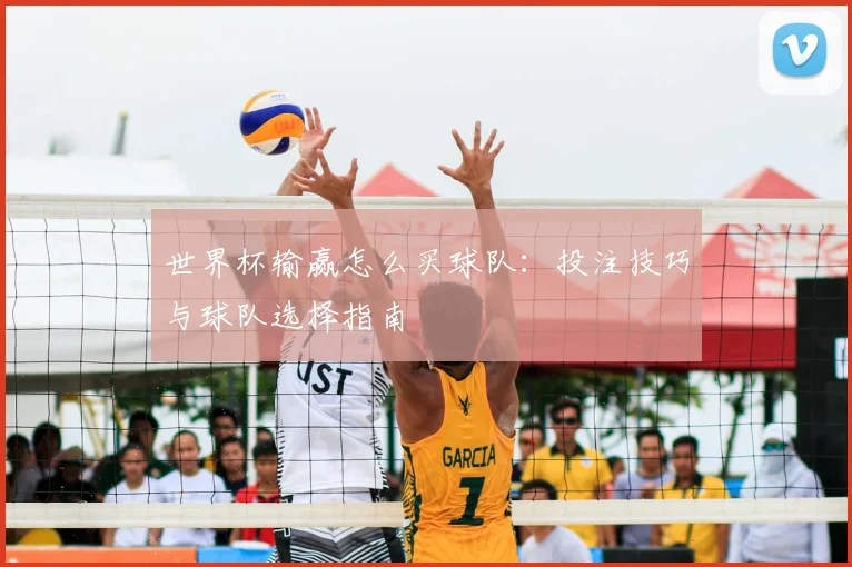 世界杯输赢怎么买球队:投注技巧与球队选择指南