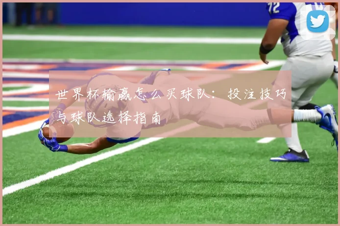 世界杯输赢怎么买球队:投注技巧与球队选择指南